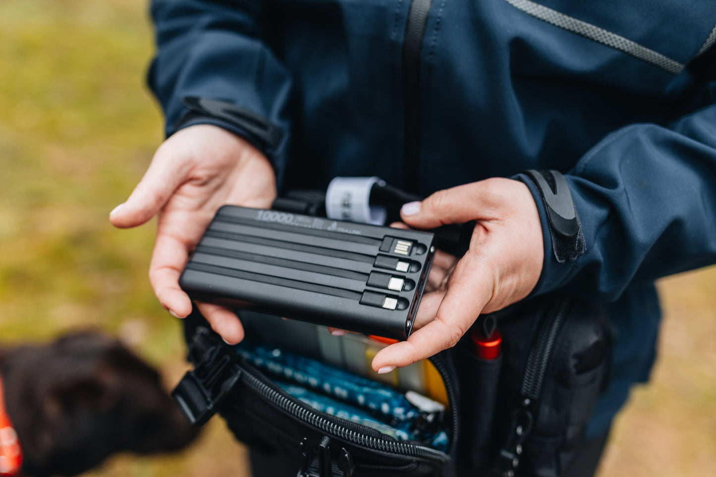 Mini Waist Pouch